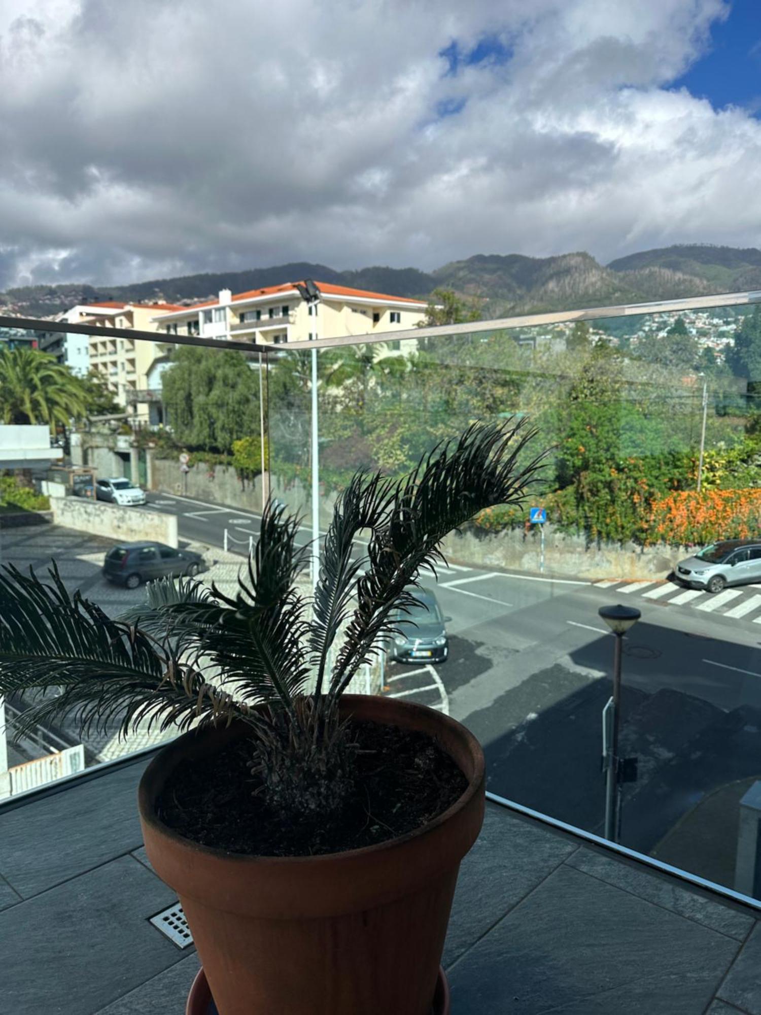 Raphael Funchal Views Apartment Экстерьер фото